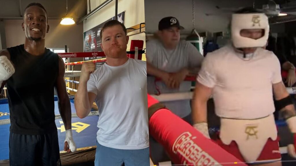 Canelo